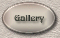 Stone Cameo gallery button
