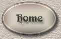 Stone Cameo home button