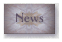 Softly Softly news button