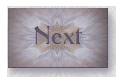 Softly Softly next button